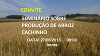 SEMINÁRIO SOBRE PRODUÇÃO DE ARROZ CACHINHO  